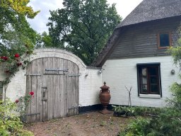 IMG_0232